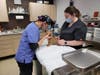 A.D.O.P.T. performs hundreds of medical procedures each year, from spay/neuter and vaccinations to emergency surgeries. 