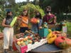Each Green Corner  teaches people of all ages to create sustainable gardens that supply produce to food-insecure community members in San Mateo County.