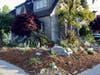 Water-efficient landscaping has transformed his Burlingame home into a showpiece that prompts passersby to ask how he did it.