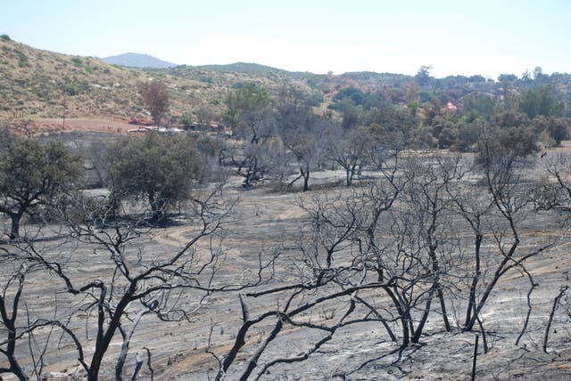 Human Remains Found in Border Fire Area Believed to Be Missing Couple ...