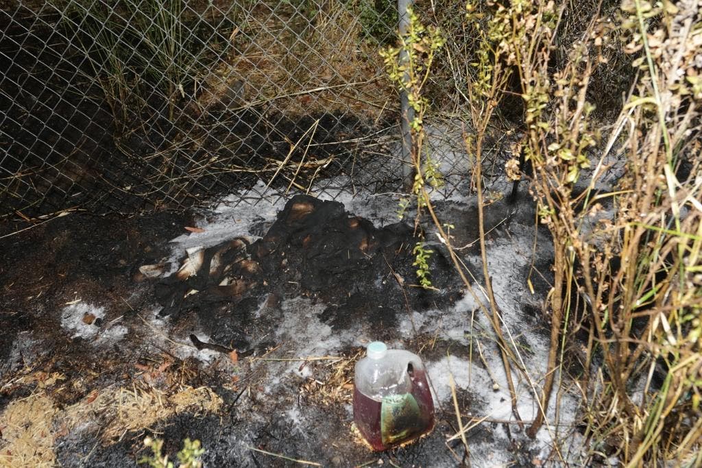 https://patch.com/img/cdn20/users/22423906/20160802/094825/styles/raw/public/article_images/fire_homeless_encampment_san_rafael-1470186926-2602.jpg
