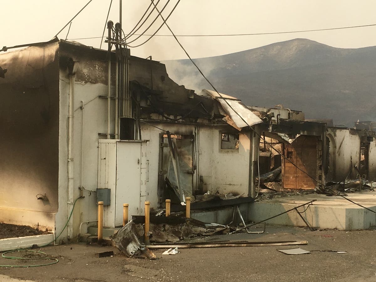 Devastation: 2 Die In Napa Complex Fire, 9 In Sonoma Co. Fires | Napa  Valley, CA Patch