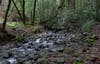 The creek at North Sonoma Mountain Regional Park