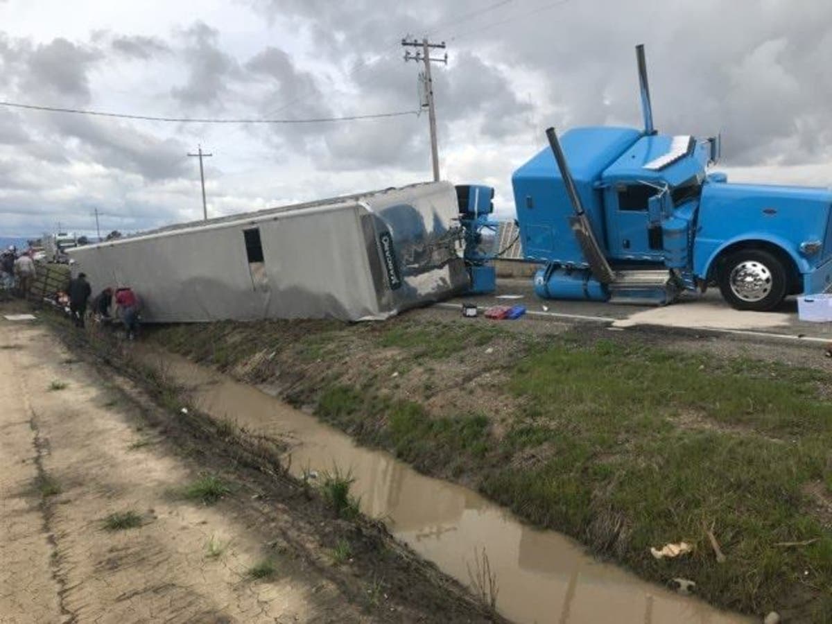 A big rig hauling cattle crashed March 4, 2019 on Midway Road near Dixon, California.