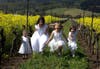 Cousins pose for a photo March 24, 2019 in a vineyard full of mustard in bloom along Highway 29 north of Napa, CA.