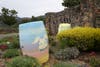 The "Easter Bunny" at Kunde Family Winery, 9825 Sonoma Highway, Kenwood, California