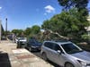 A downed power line and tree block a Martinez street Friday, May 17, 2019. 
