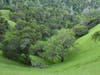 Oak Savanna at Sunrise: April 20, 2019 at Quail Ridge Wilderness Conservancy