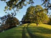 Oak Savanna at Sunrise: April 20, 2019 at Quail Ridge Wilderness Conservancy