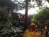 Firefighters respond to a fire behind Edgewood Apartments, July 17, 2019 in Rohnert Park, California.
