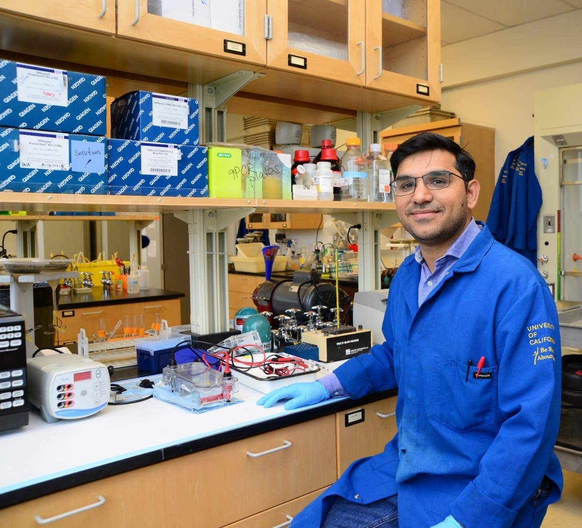 UC Davis plant nematologist Shahid Siddique