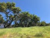 Fountaingrove Club, April 17, 2019.
