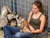 Maija Turjanis, 17, sits pygmy goats in the 4H section at Napa Town & Country Fair, Aug. 7, 2019.
