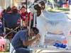 Animals and activities made the 4-H section a popular destination at the Napa Town & Country Fair, held Aug. 7-11, 2019.
