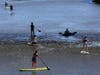 The Napa River in downtown Napa had plenty of paddle boarders and rafters enjoying the sunshine and warm weather over Labor Day weekend 2019.