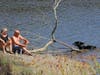 A pair and their pup cool off in the Napa River, Sunday of Labor Day weekend 2019.