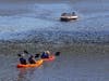 Boaters and kayakers cruise the Napa River in downtown Napa, Sunday of Labor Day weekend 2019.
