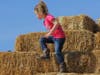 A young girl climbs a giant haystack at Stanly Lane Pumpkin Patch in south Napa, October 2019.