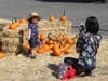 Petaluma Pumpkin Patch