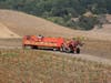 Hayrides are among the seasonal activities offered at Pronzini Pumpkin Patch.