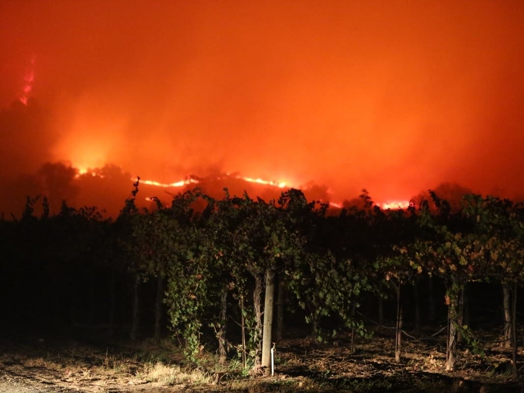 Kincade Fire Evac Advisory Still Stands For Calistoga In Napa Co ...