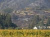 These Sonoma County homes were still standing after the Kincade Fire burned dangerously close.
