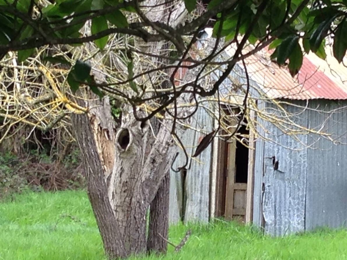 An open door is found off Sprauer Road, one of the many back roads of the Petaluma area.