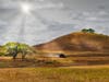 The sun's rays illuminate a farm along Chileno Valley Road near Petaluma, California.
