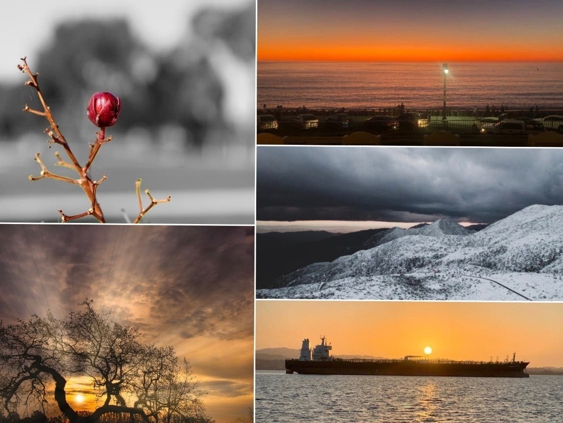 Nick Hubbs, Doug Rodriguez, Sam Patel, Tracy Rose, Claus Weisemann