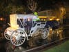 Free carriage rides continued in Yountville despite a rainy weekend.