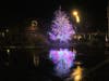A tree illuminated for the holidays creates a festive reflection in Yountville.