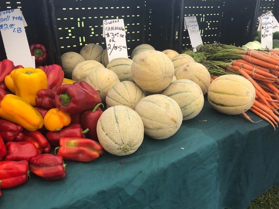 Napa Farmers Market, which is said to offer the largest selection of fresh, nutritious, locally grown and produced food sold directly by small farmers located within an 80-mile radius of Napa, will be located at Napa Valley Expo beginning Feb. 8, 2020.