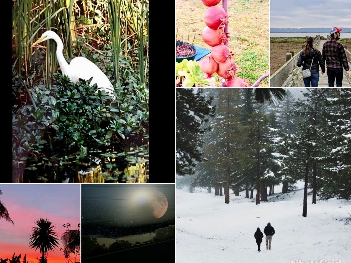 Maryann Tomola; Miyo Burnett; Doris Kao; Debra Seigel; Marlene Hernandez; Sam Patel