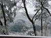 Snow on Cobb Mountain, Jan. 16, 2020.