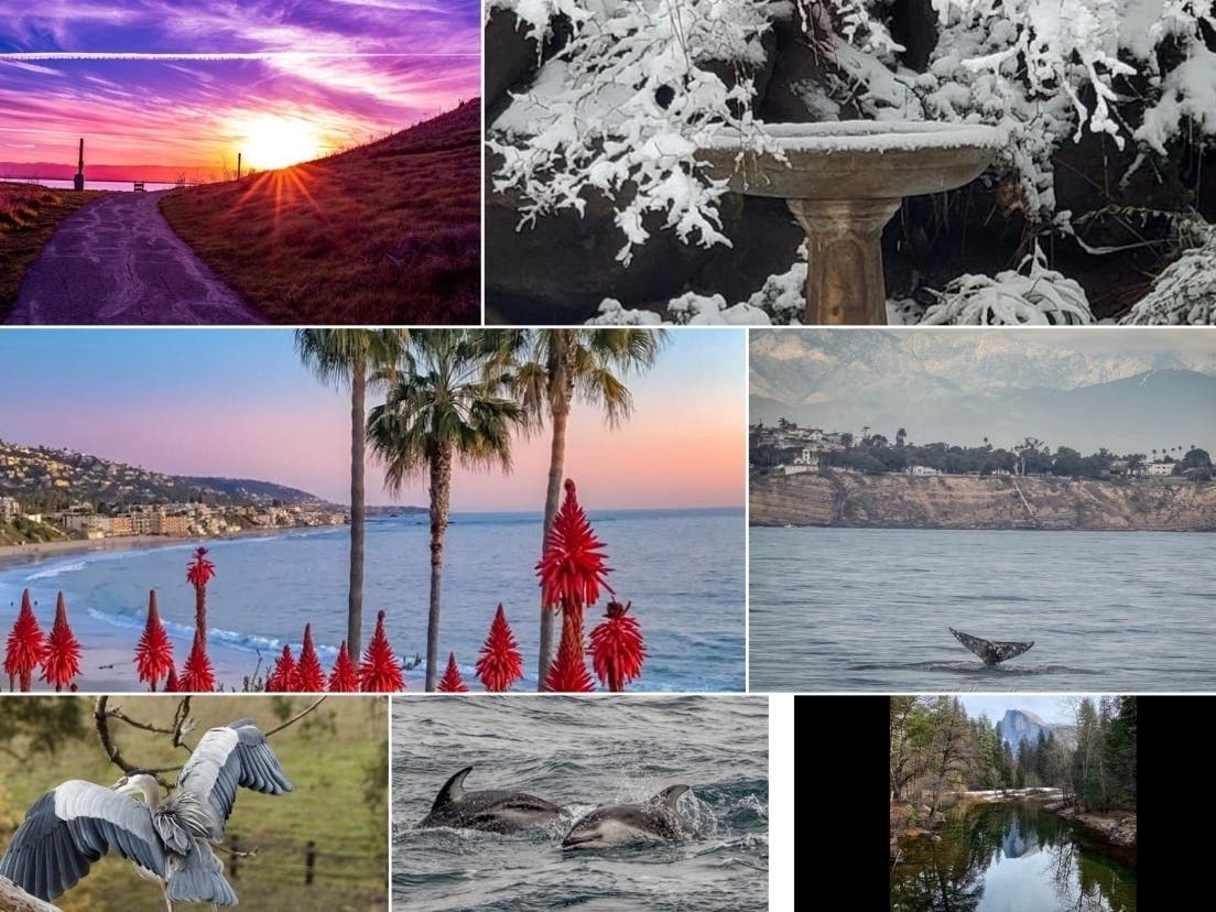 California In Photos: Jan. 19, 2020