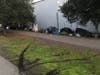 Police released this photo of tire tracks on the Joe Rodota Trail — where hundreds of homeless people currently camp — presumably made by a woman accused of chasing down her ex-boyfriend in her car, Monday, Jan. 20, 2020, on the trail in Santa Rosa.