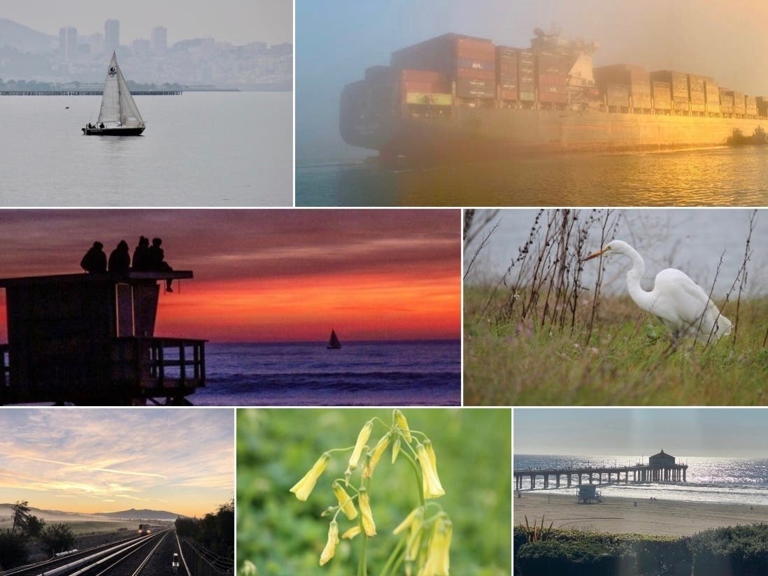 Top left: "Bayfront Park Beauty"; Top right: "Container Ship Emerges From The Fog"; Middle Left: "Friends At Sunset"; Middle right: Bayfront Park Beauty: Bottom Left: "Waiting For BART"; Bottom Middle: "Bayfront Park Beauty"; Bottom right: "Beam of Light"