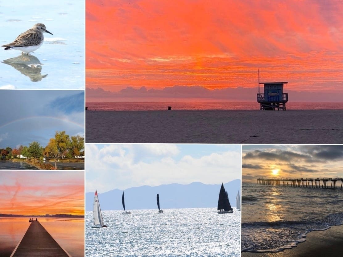 Top left: "Shore Birds At Alameda Beach"; Top right: "Orange Sherbet Sunset"; Middle left: "Over The Rainbow"; Bottom left: "Tahoe Sunset"; Bottom middle: "Sunny Harbor"; Bottom right: "Gorgeous Hermosa Beach."
