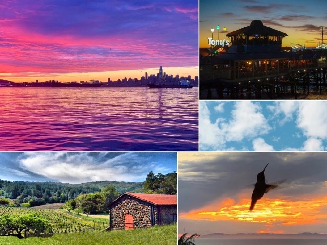 Top left: "Glorious Sunset"; Top right: "Redondo Pier Sunset"; Bottom left: "Park Views"; Middle right: "Blue Skies, Puffy Clouds"; Bottom right: "Sunsets In San Clemente Grant Residents A Moment Of Zen."