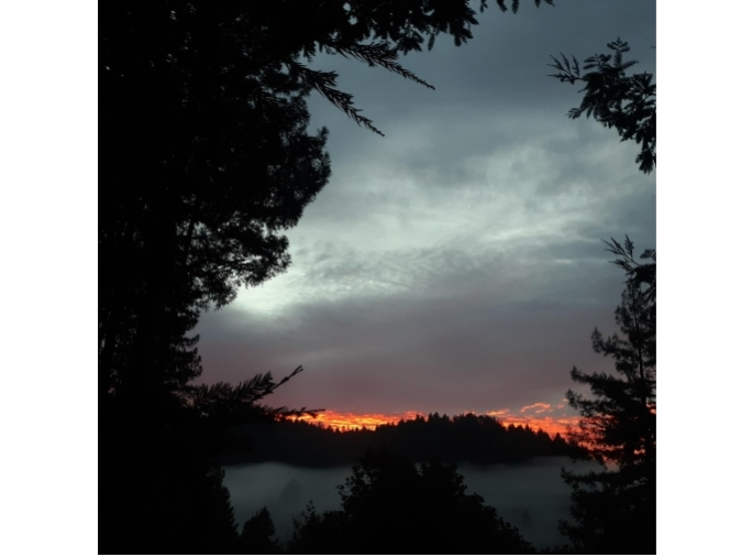 Sunrise, Jan. 1, 2020, in Guernewood Park, California.