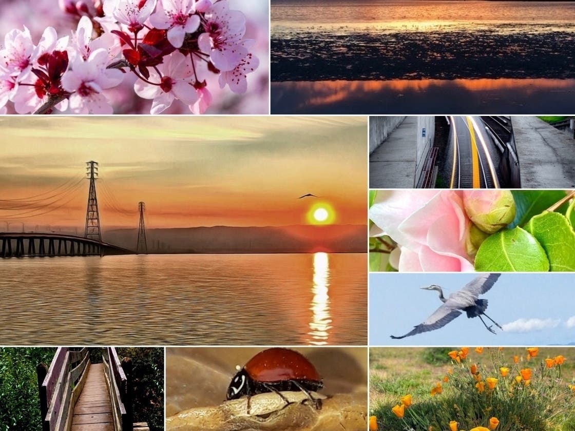 Many of these photos were taken prior to California's stay-at-home order, and serve as a reminder to never take anything for granted.