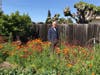 Wayne Sarchett of Concord is pictured in his backyard vegetable garden, where he also planted wildflowers as an experiment.