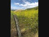 This breathtaking scenery shot was taken at Briones Regional Park in central Contra Costa County.