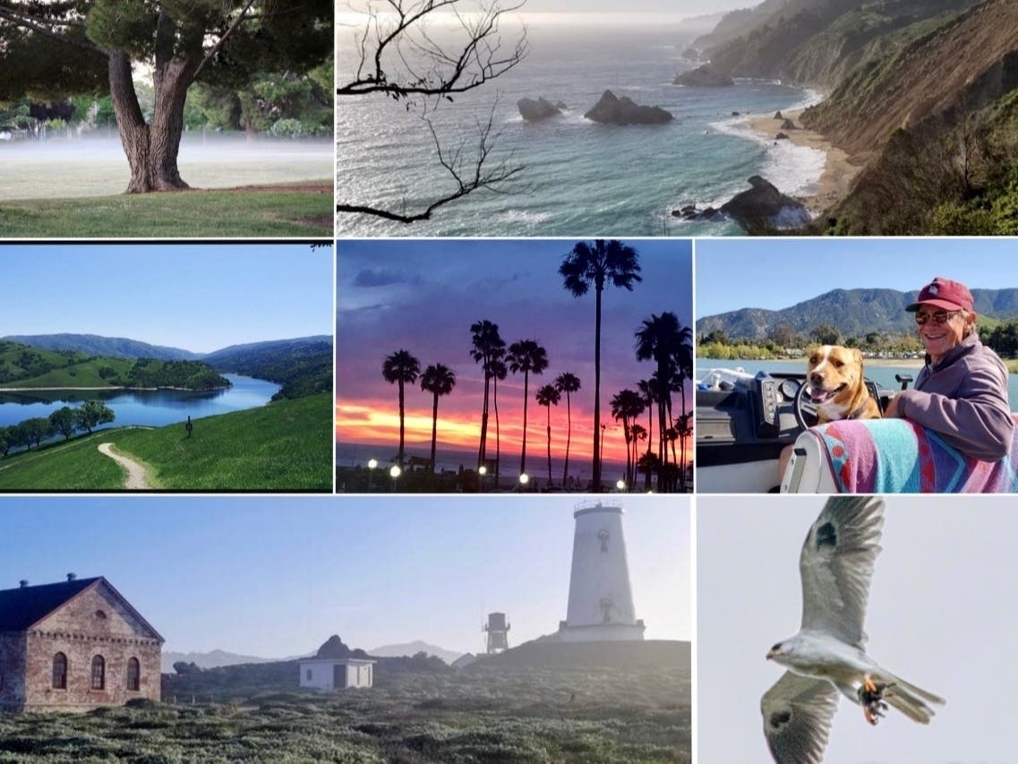 Counterclockwise: "Big Sur Beauty"; "Trusted First Mate"; "Kite, Crow Mid-Air Combat"; "Sunset Transforms Newport Beach Sky"; "Big Sur Beauty"; "Placid Livermore View"; "Foggy Dawn In Fremont"