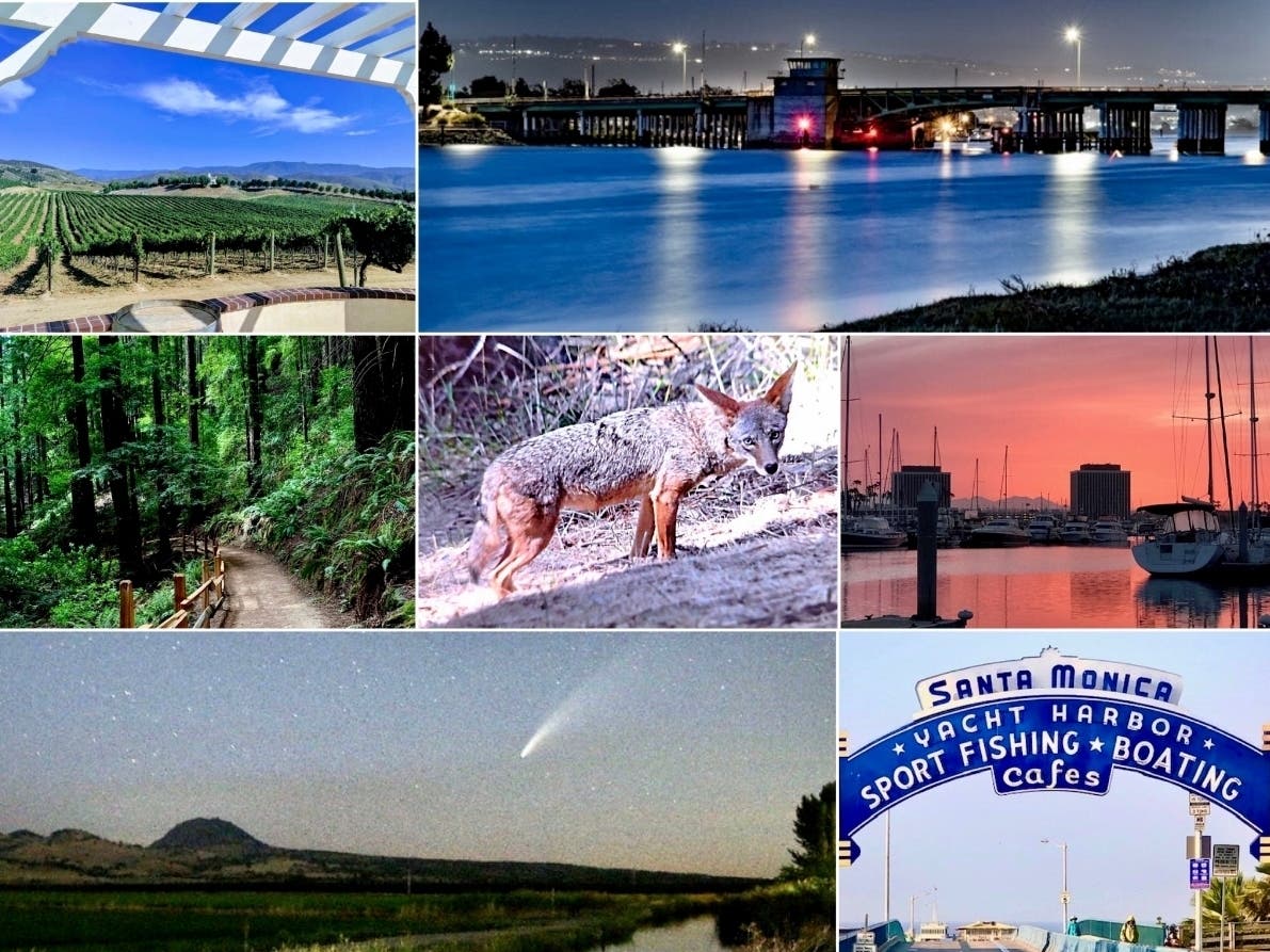 Clockwise: Winery Views Temecula; Otis Street Bridge; Inviting Redwoods; Coyote's Gaze; Pink Sky Lights Up Marina; NorCal Comet; Santa Monica Pier