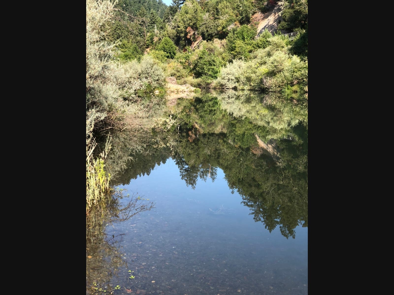 The Russian River on a summer day in Guerneville.