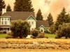 One of two deer strolls across the front yard of a home north of Vacaville Wednesday while the hillside behind the home was afire. Then a deer came back from the other direction for a photo. A fire crew was behind the home providing structure protection.