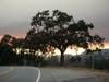 View of smoke from LNU Lightning Complex fires at sunset Wednesday from Calistoga Road, between Santa Rosa and Calistoga.