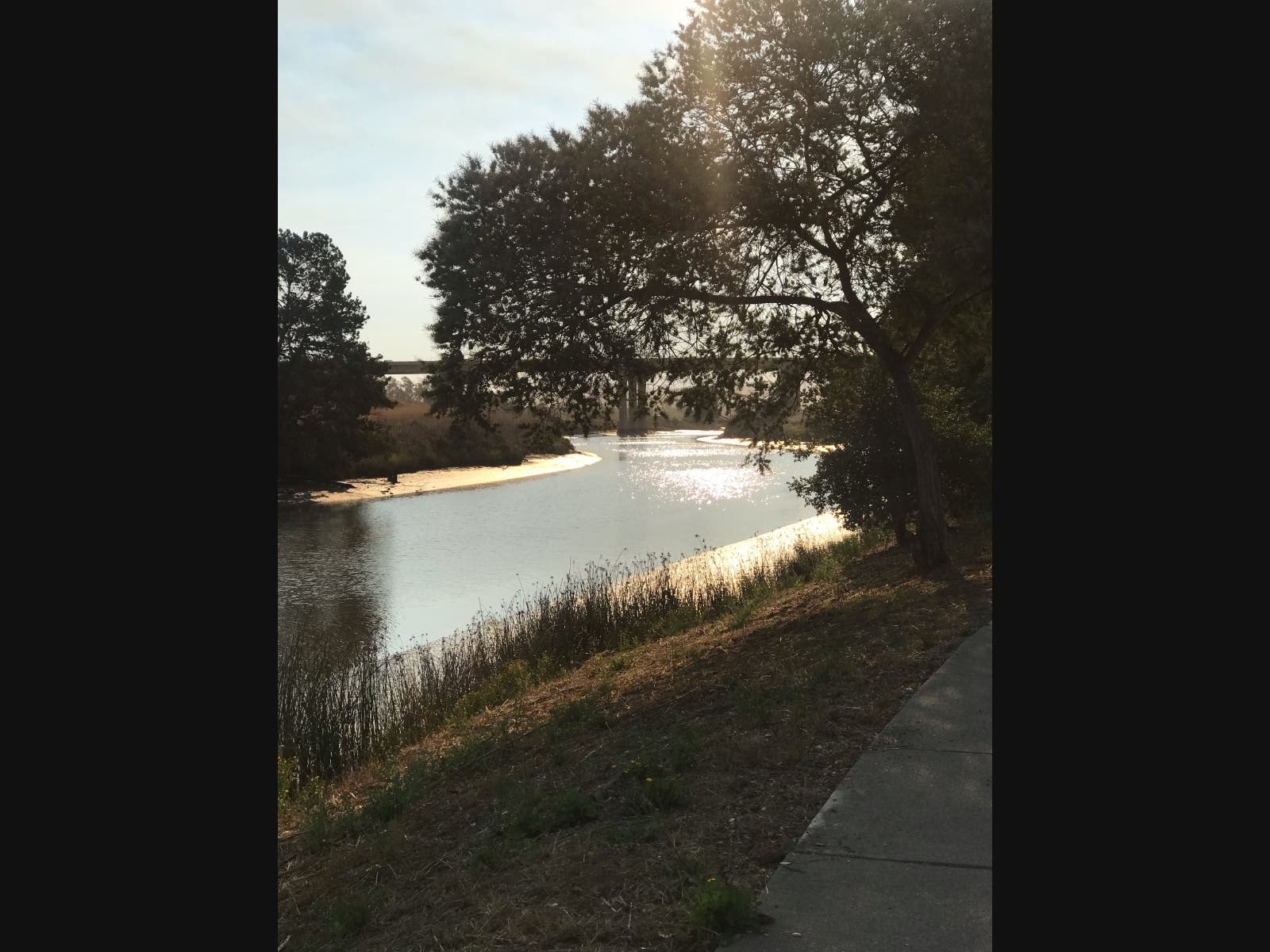 The Petaluma River is pictured on an August day.