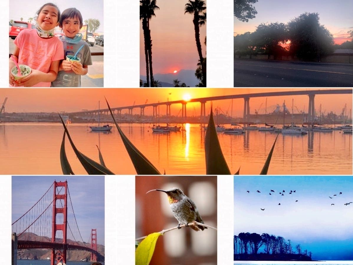 Clockwise: Palm-Framed, Smoky Sunset; A Sunset Heart?; Picture-Perfect San Diego Sunrise; Blue Skies Over Hog Island In West Marin; Hummingbird Mid-Drink; Golden Gate Bridge, A World-Famous View; Grand Twins Cooling Off At Lappert's